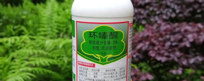 环嗪酮的应用范围，可在造林前除草灭灌或经济作物除草