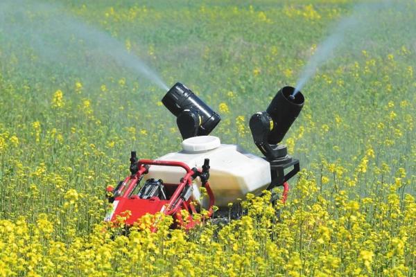 草甘膦和什么药物混用效果好，包括二甲四氯钠、乙羧氟草醚、精喹禾灵等药物