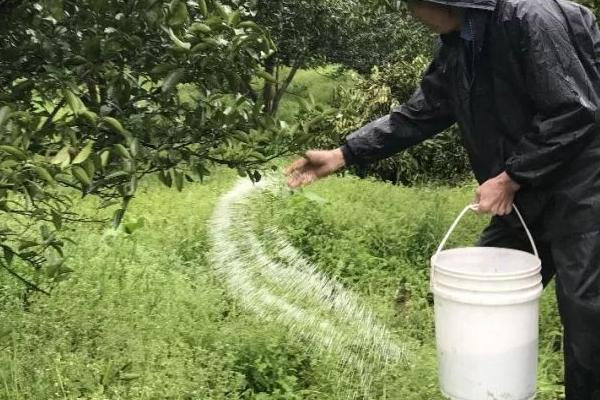 磷钾肥属于复合肥吗，磷钾肥是复合肥