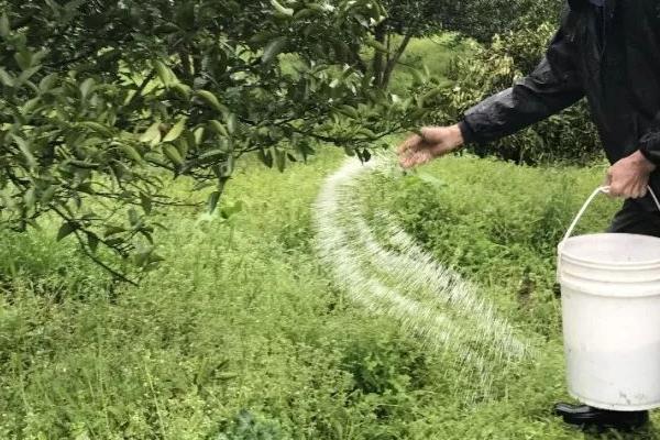 矿源黄腐酸钾的使用方法，水溶肥和常规肥一定要结合使用