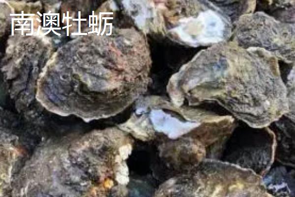 广东省南澳县的特产，有南澳宅鱿、饶鱼干等