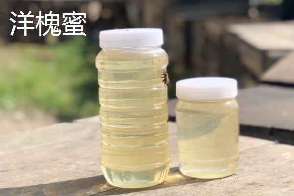 洋槐蜜和土蜂蜜品质对比，土蜂蜜含有的营养更多、售价更高