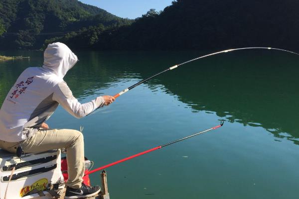 刮西南风哪个位置适合钓鱼，下风口的东北岸最适合作钓