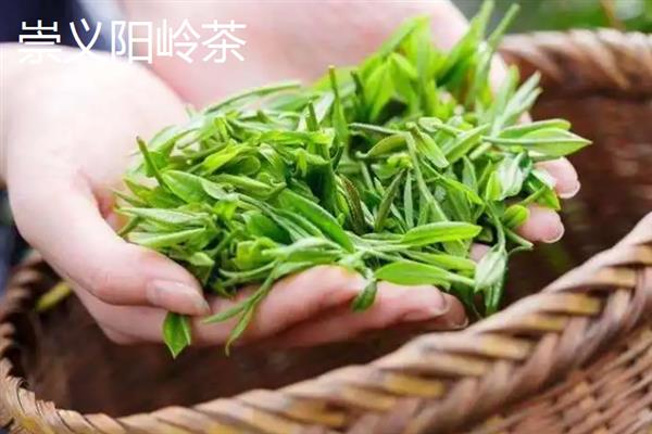 江西上饶的土特产，婺源绿茶享誉国际市场