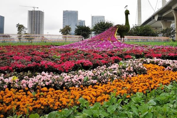 福州花海公园什么时候有花海，一年四季都有